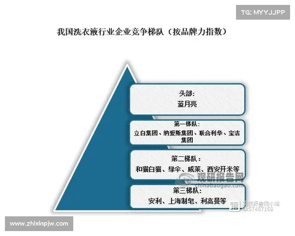 打造全方位品牌曝光策略提升市场认知度与用户忠诚度的有效途径 打造全方位品牌曝光策略提升市场认知度与用户忠诚度的有效途径